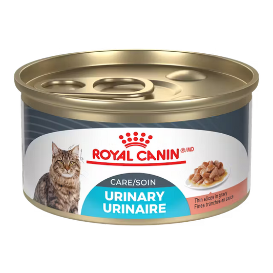 Can of Royal Canin Urinary Care cat food on a white background